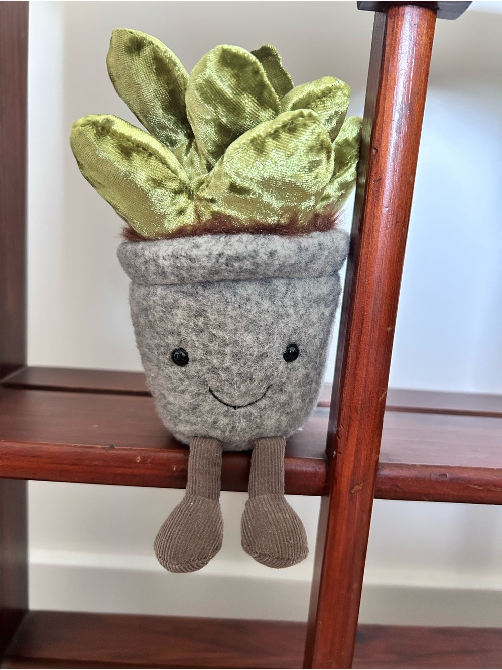Jellycat Amuseables Retired Silly Succulent Jade plush toy - Picture 4 of 9